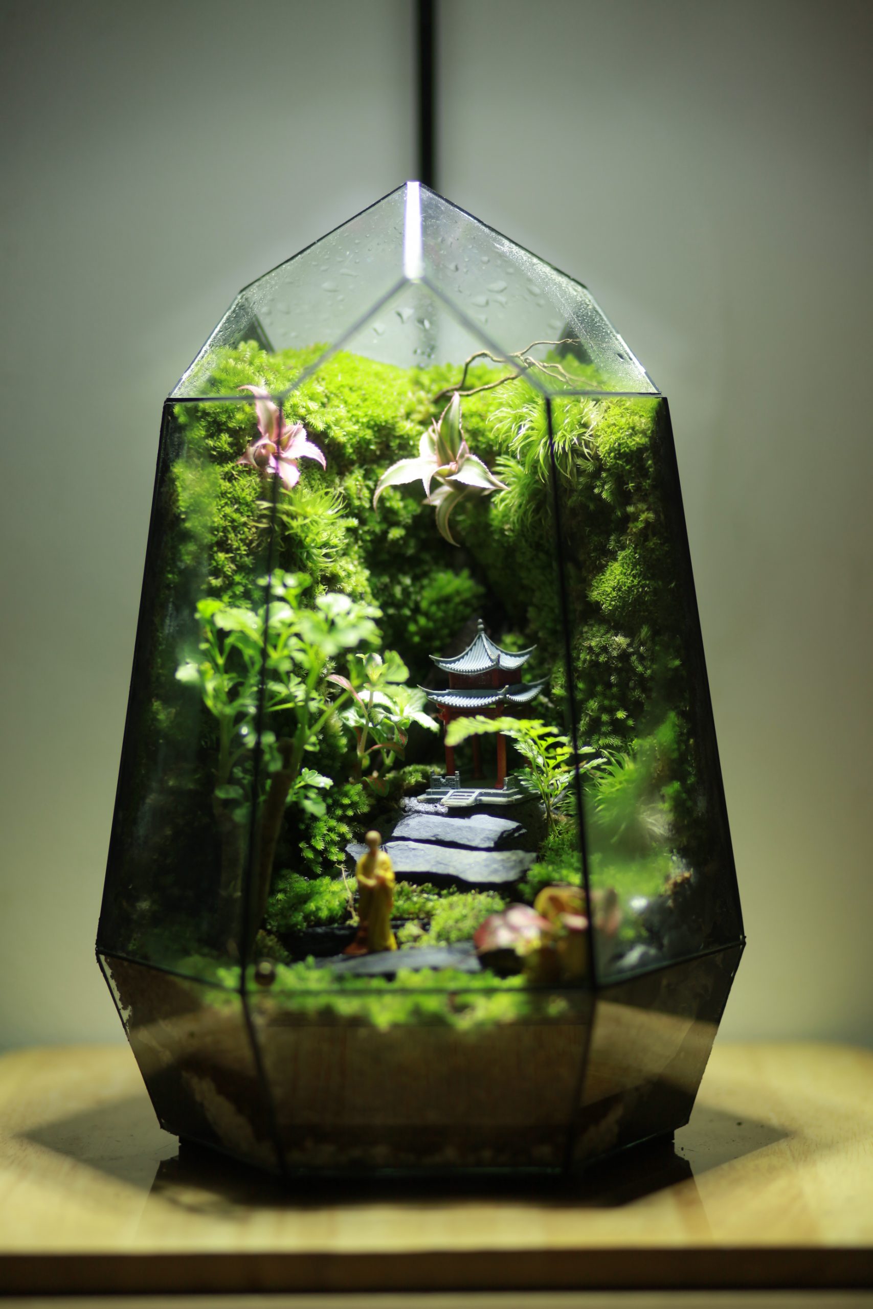 BỂ TERRARIUM SIZE TRUNG