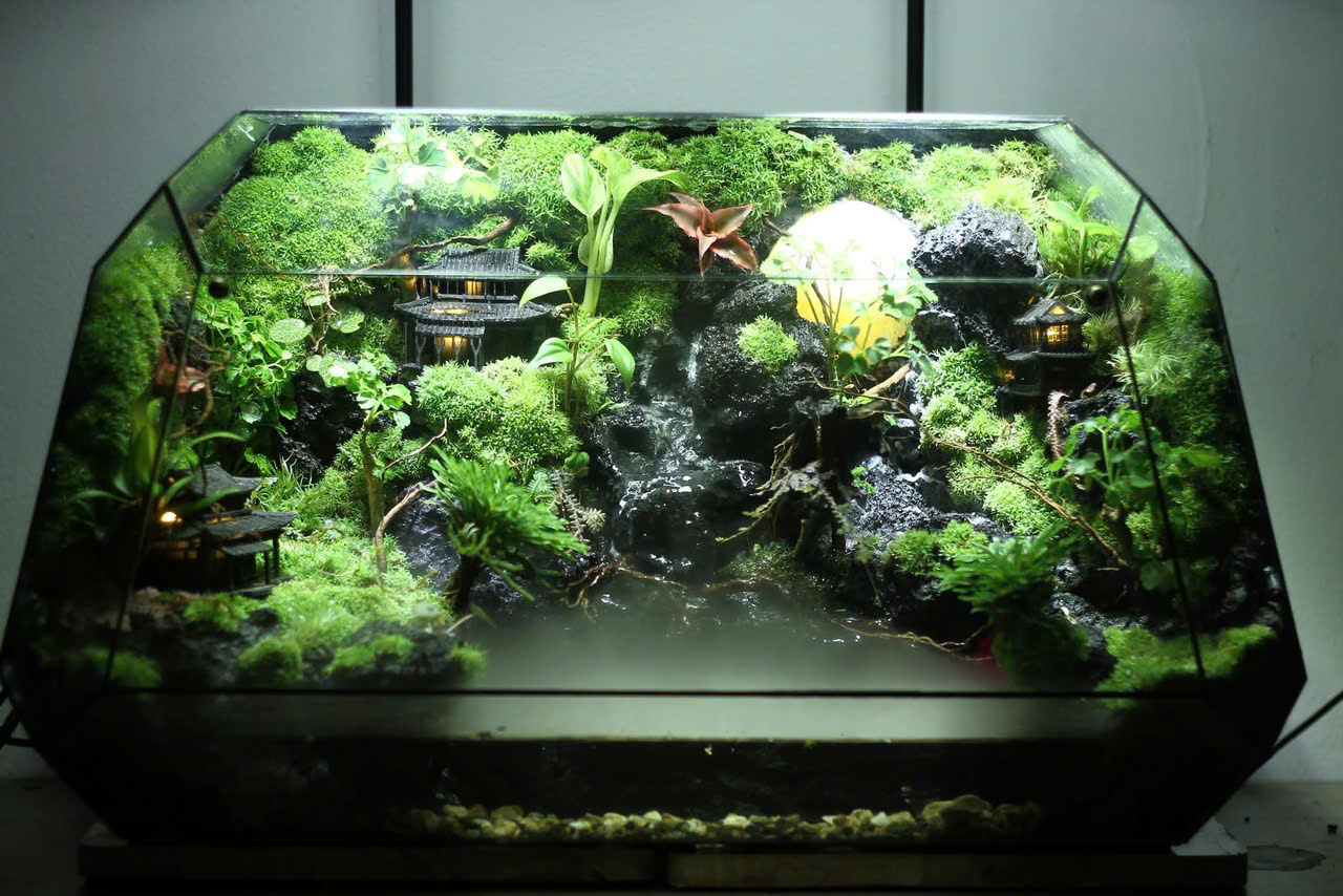 Cổ TrấnSương Khói 50x25x30cm