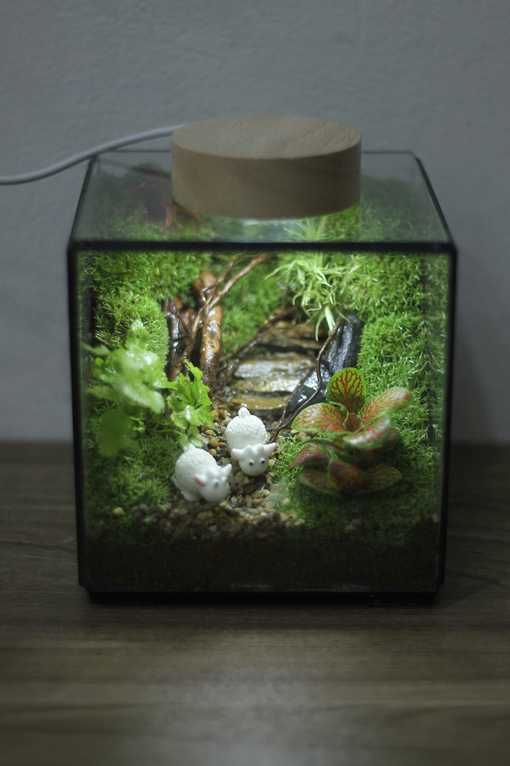 Cubic 11cm đôi cừu