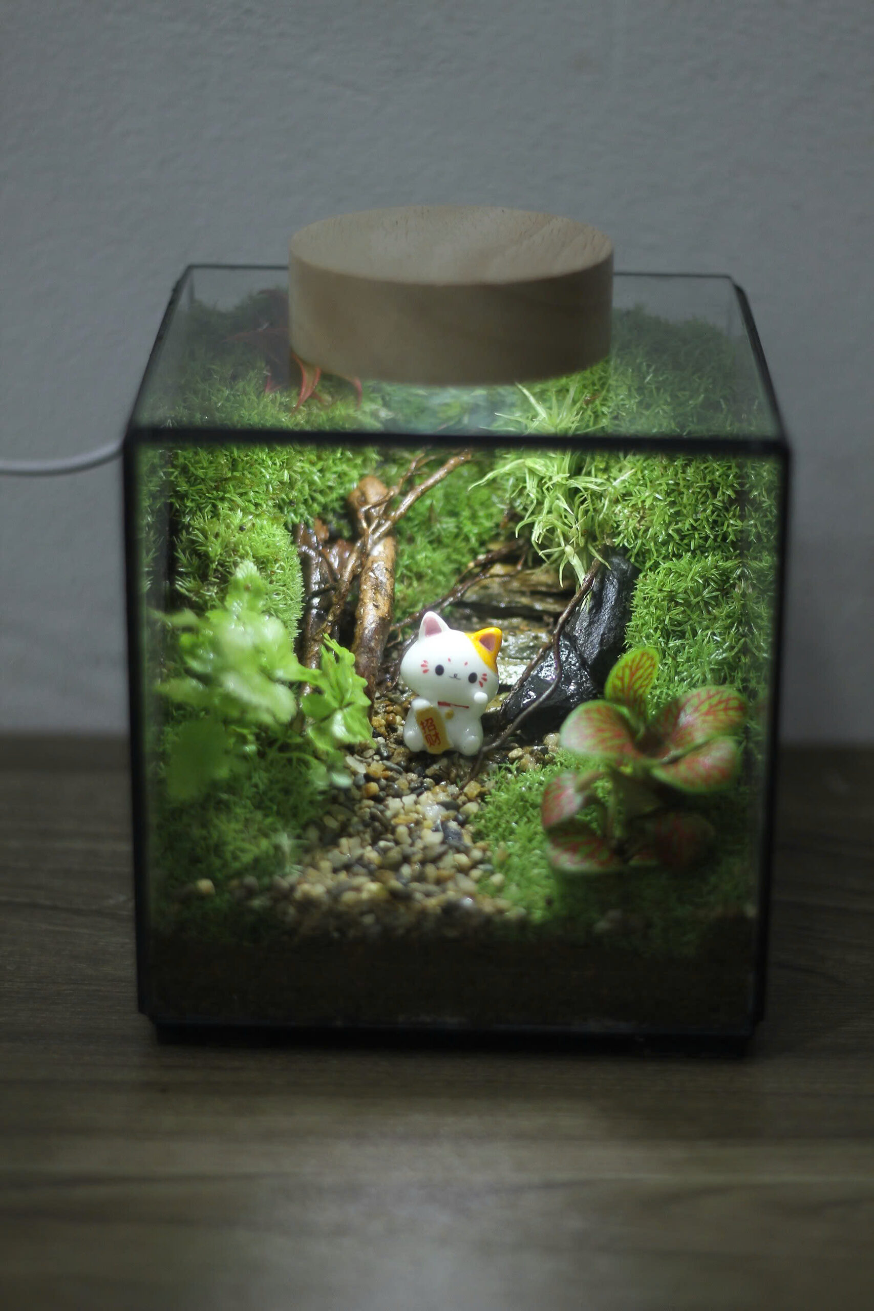 Cubic 11cm Mèo Thần Tài