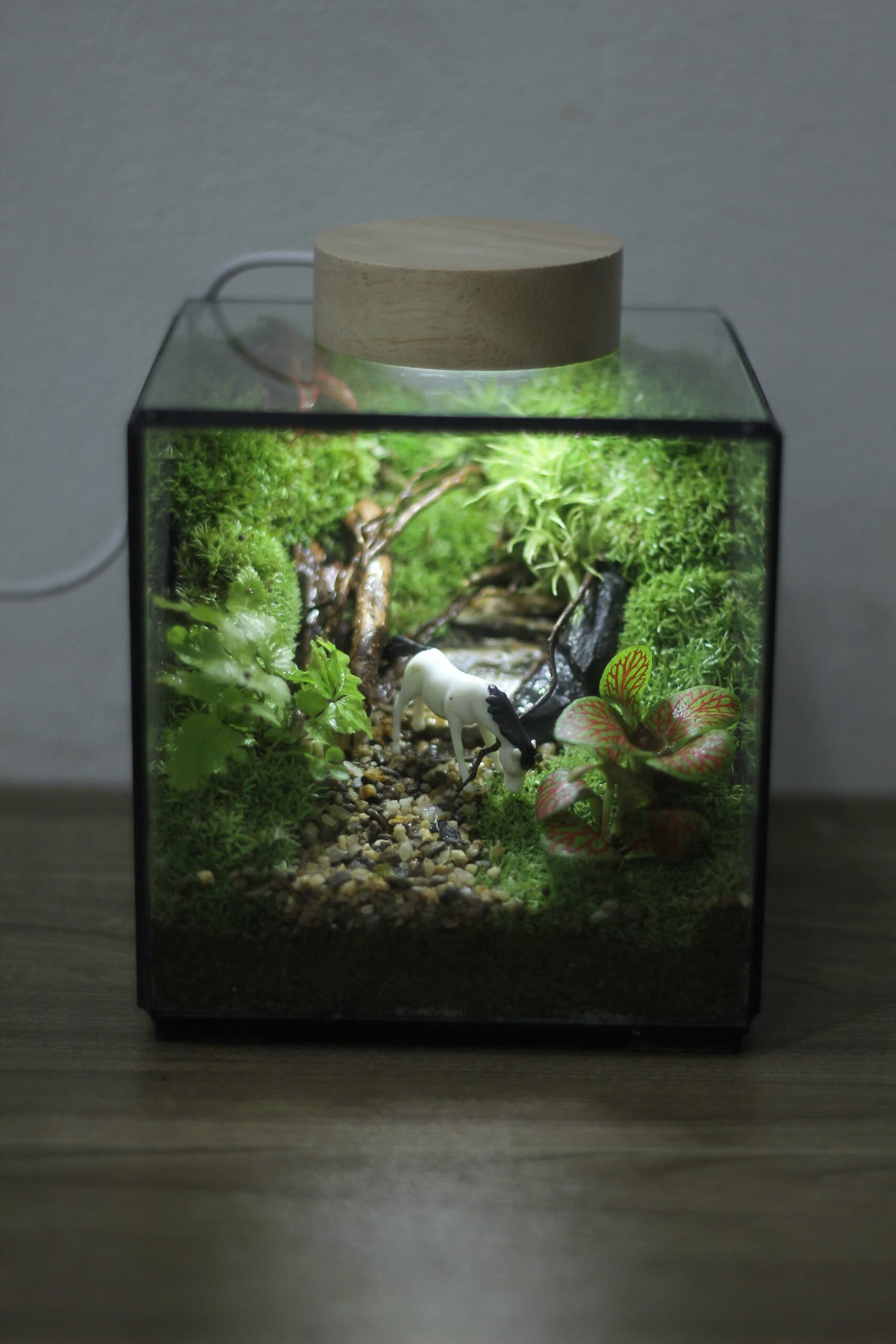 Cubic 11cm Bạch Mã