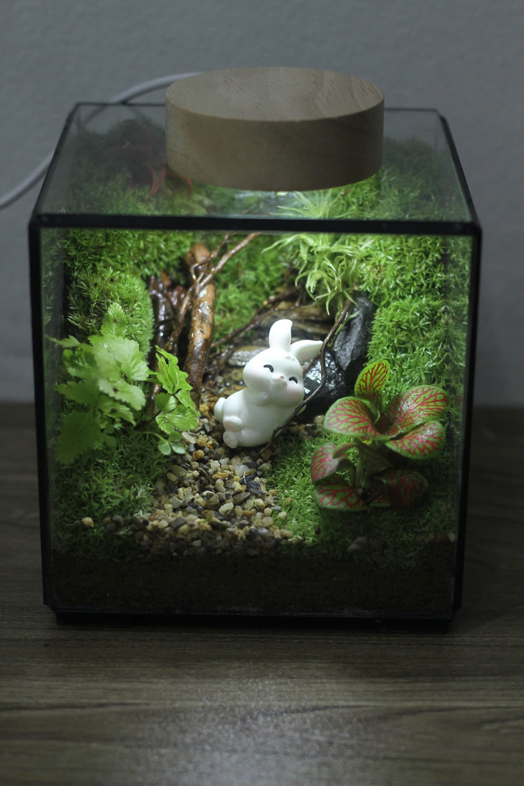 Cubic 11cm thỏ xinh