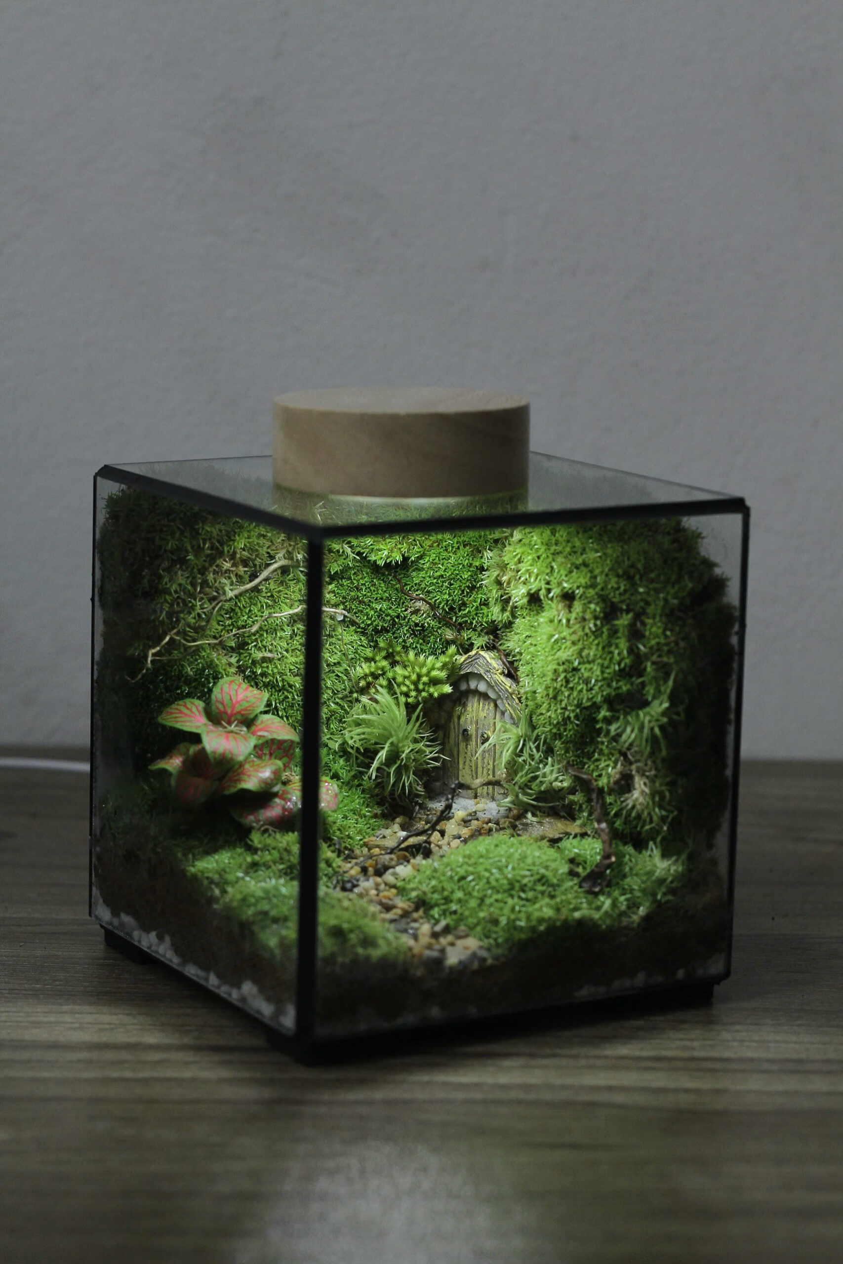 Cubic 11cm Cánh cổng thần kỳ