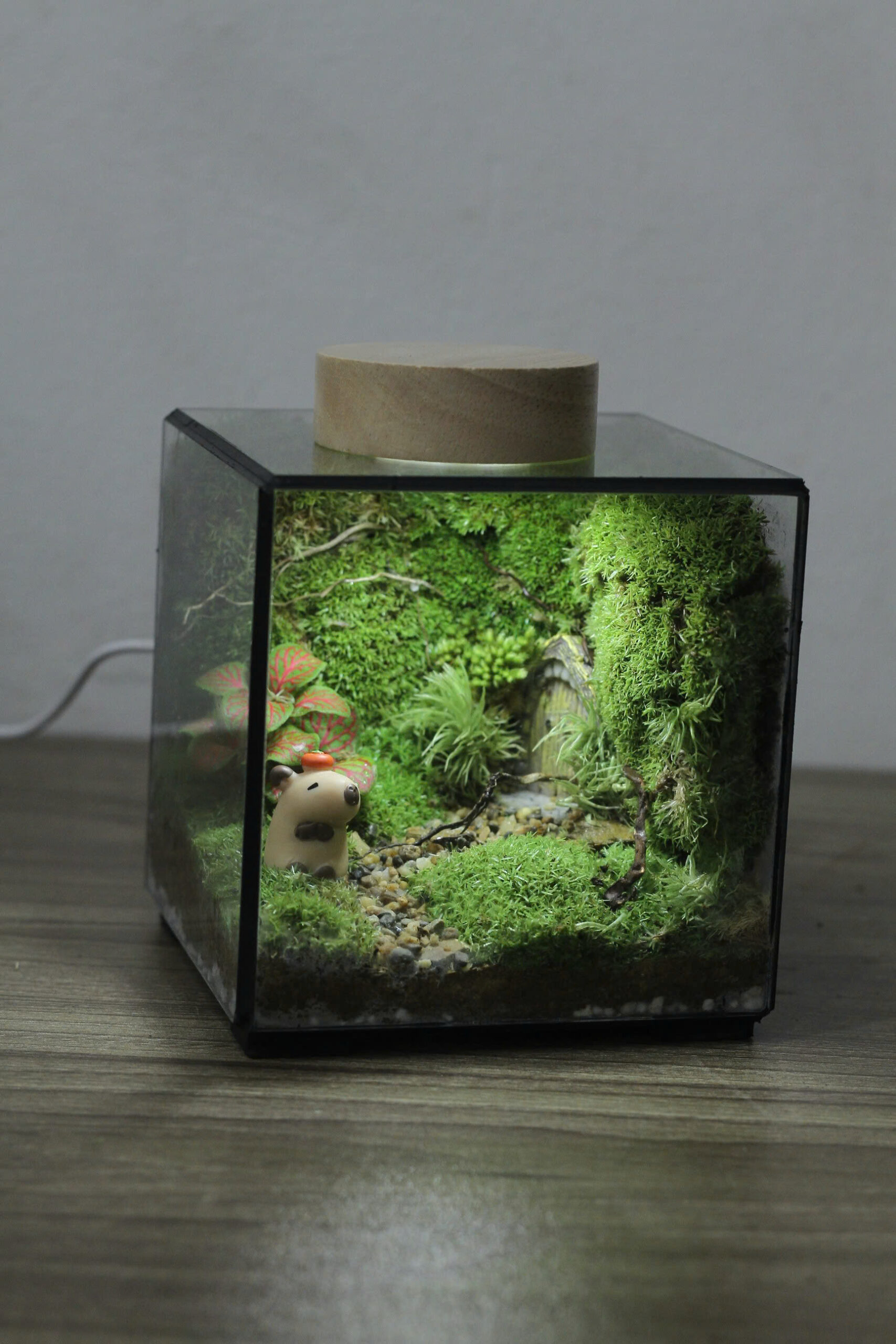 Cubic 11cm Cappy+Cổng