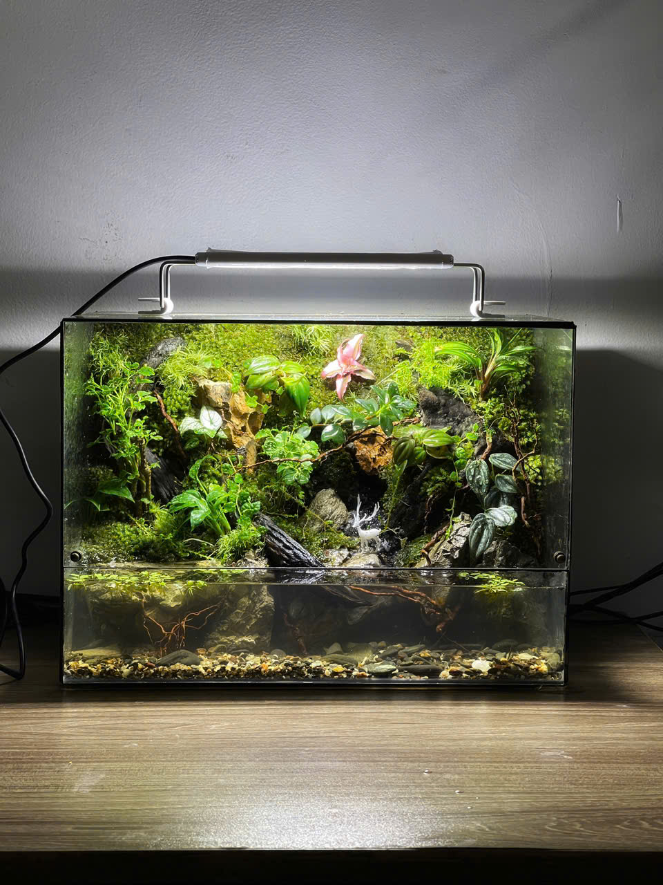 Bán Cạn Nuôi Cá KT35x20x25cm