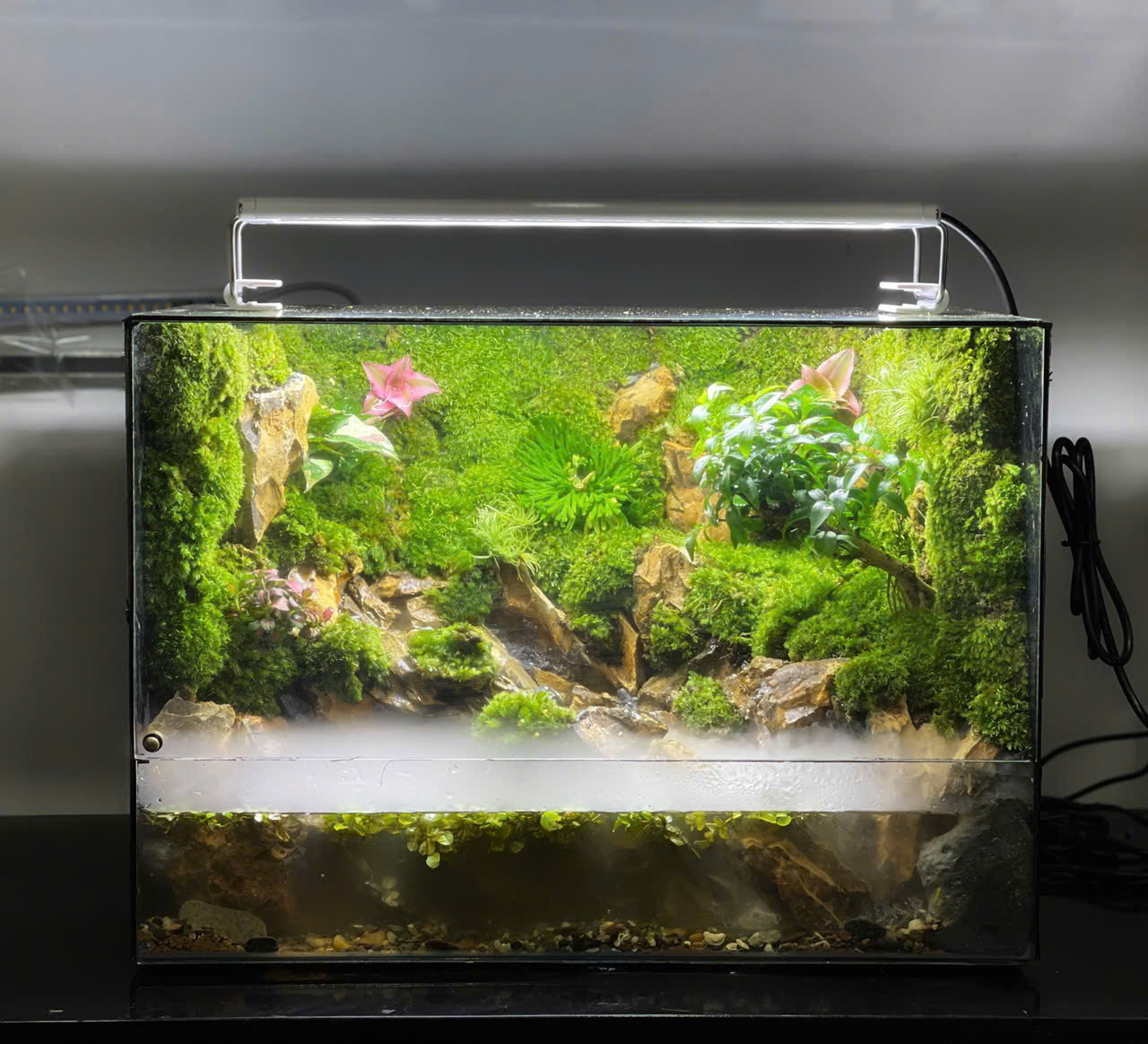 Bán Cạn Thác Khói Natural Tiger Stone Tank 35x20x25cm