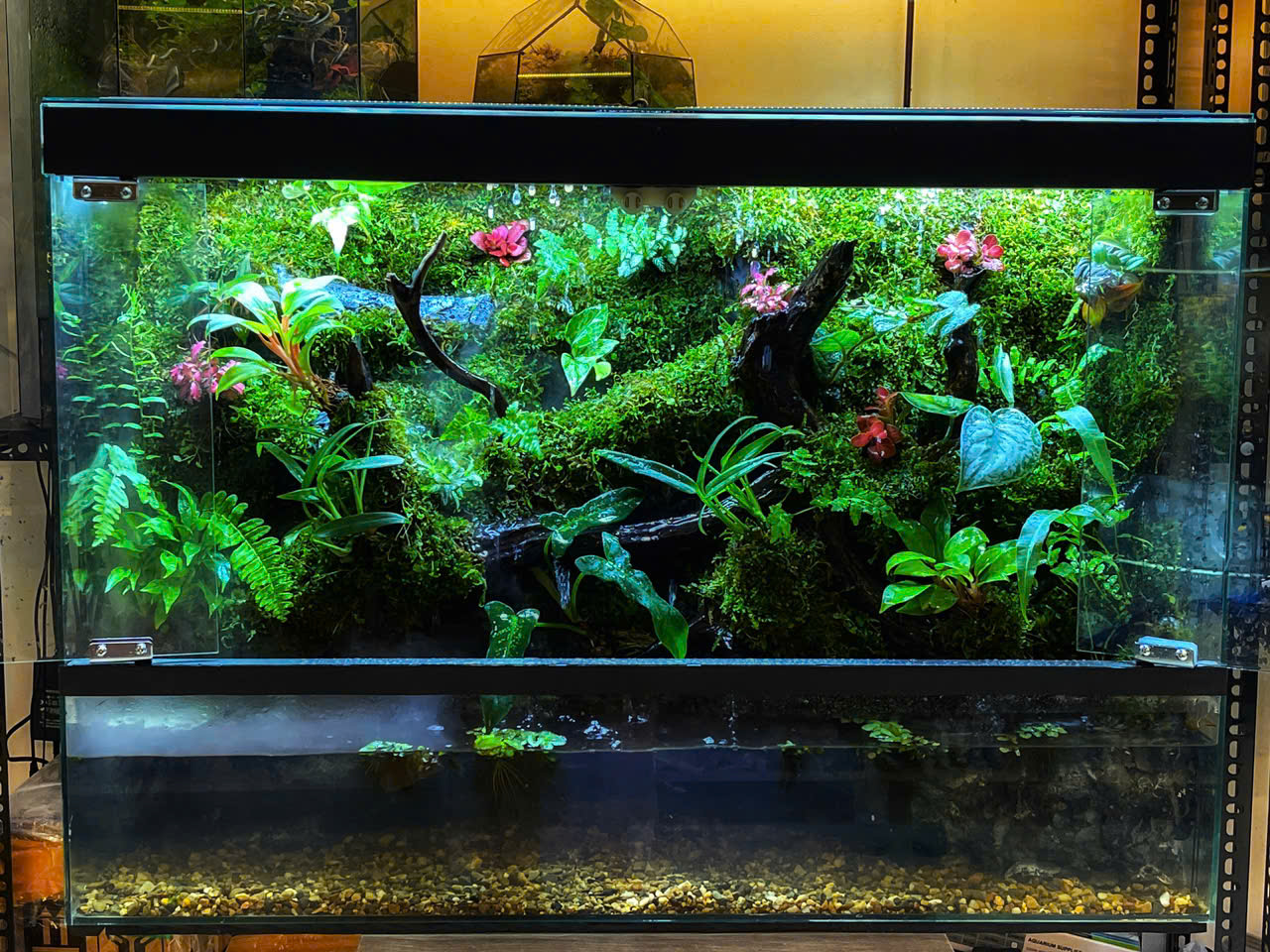 RainForest hiệu ứng mưa 80x30x55cm