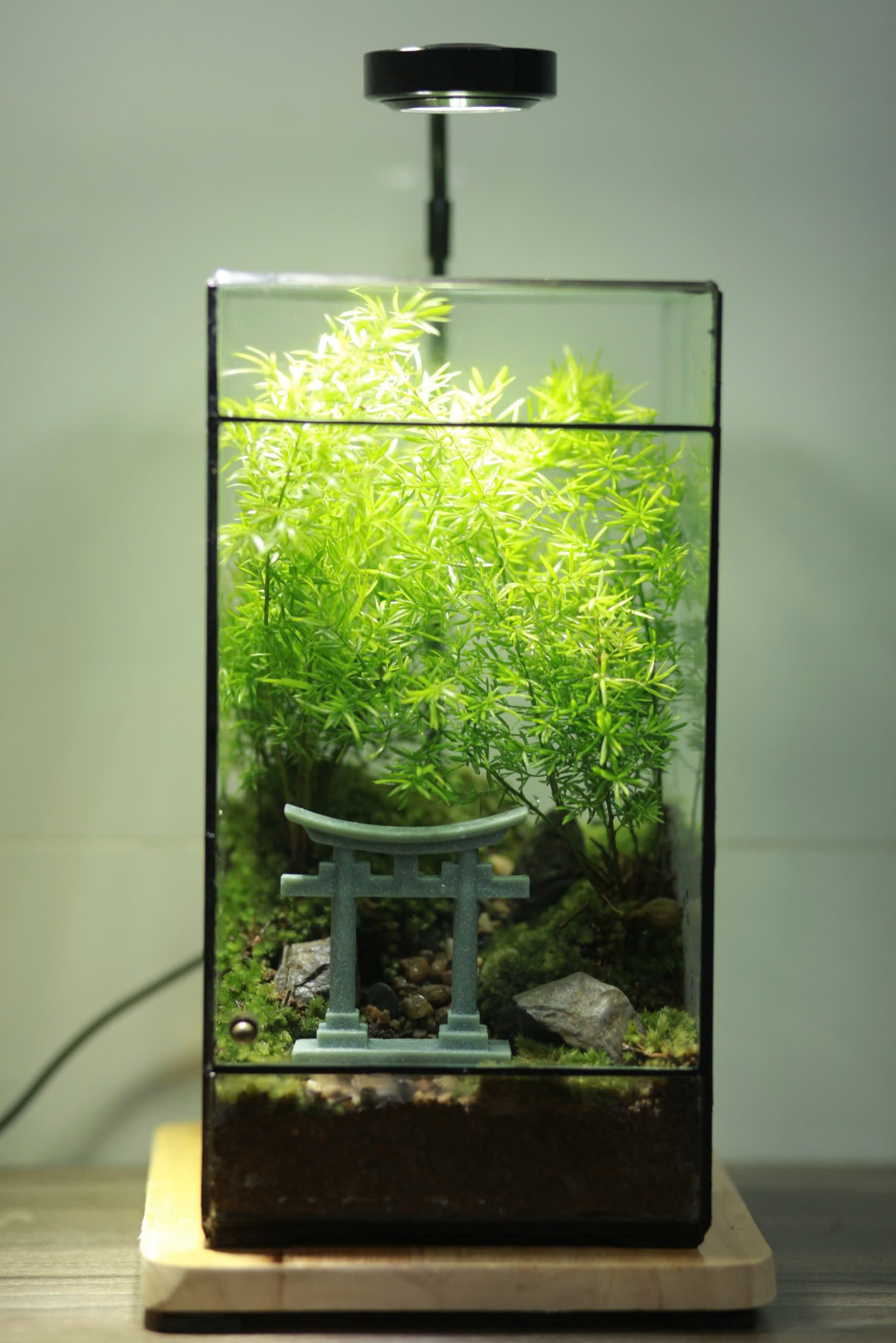 Cổng Trời Torii 12x12x24cm