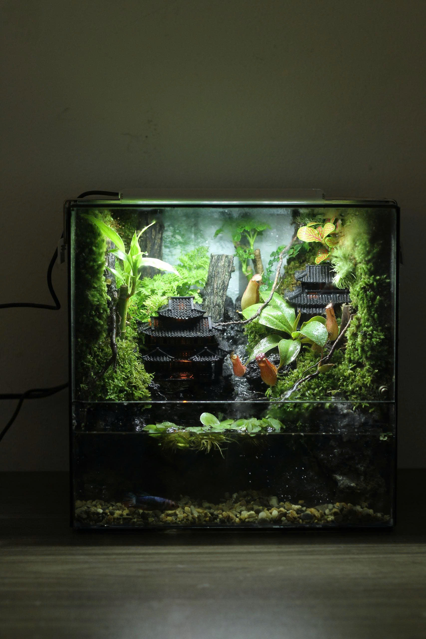 Bán Cạn Cổ Trấn Ven Sông 25x20x25cm