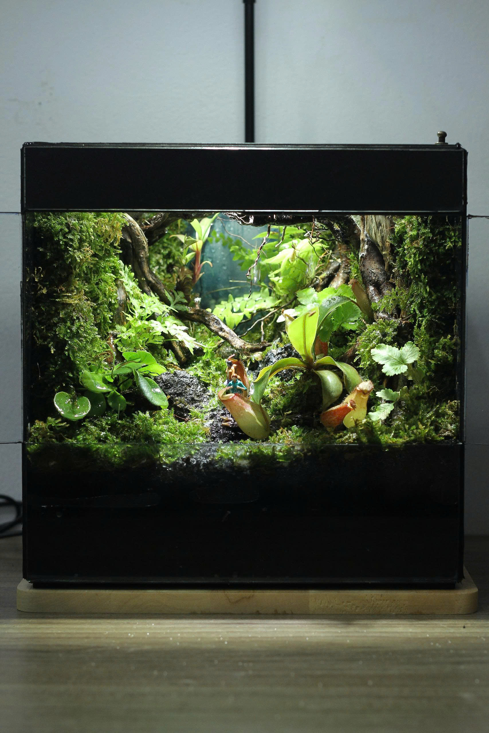 Trekking in Rainforest 25x20x25cm