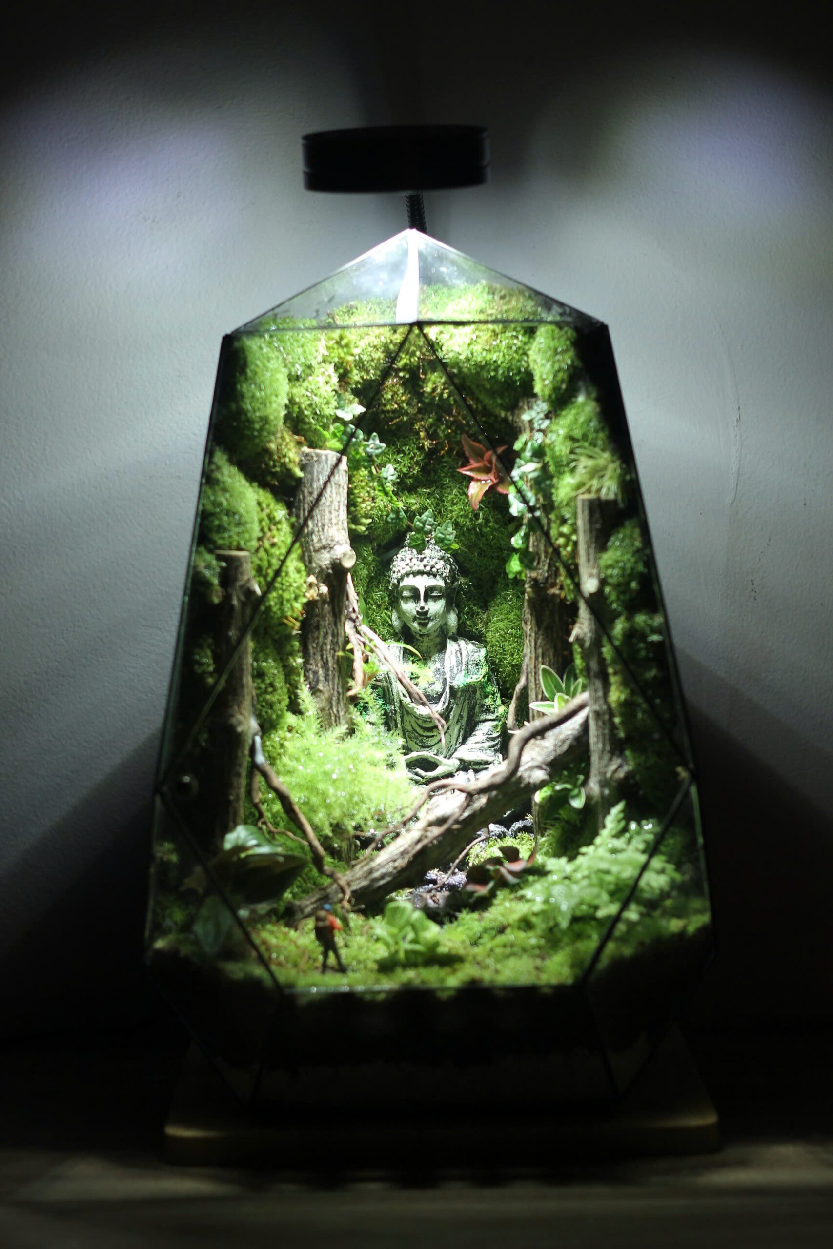 Cổ Phật Ẩn Lâm