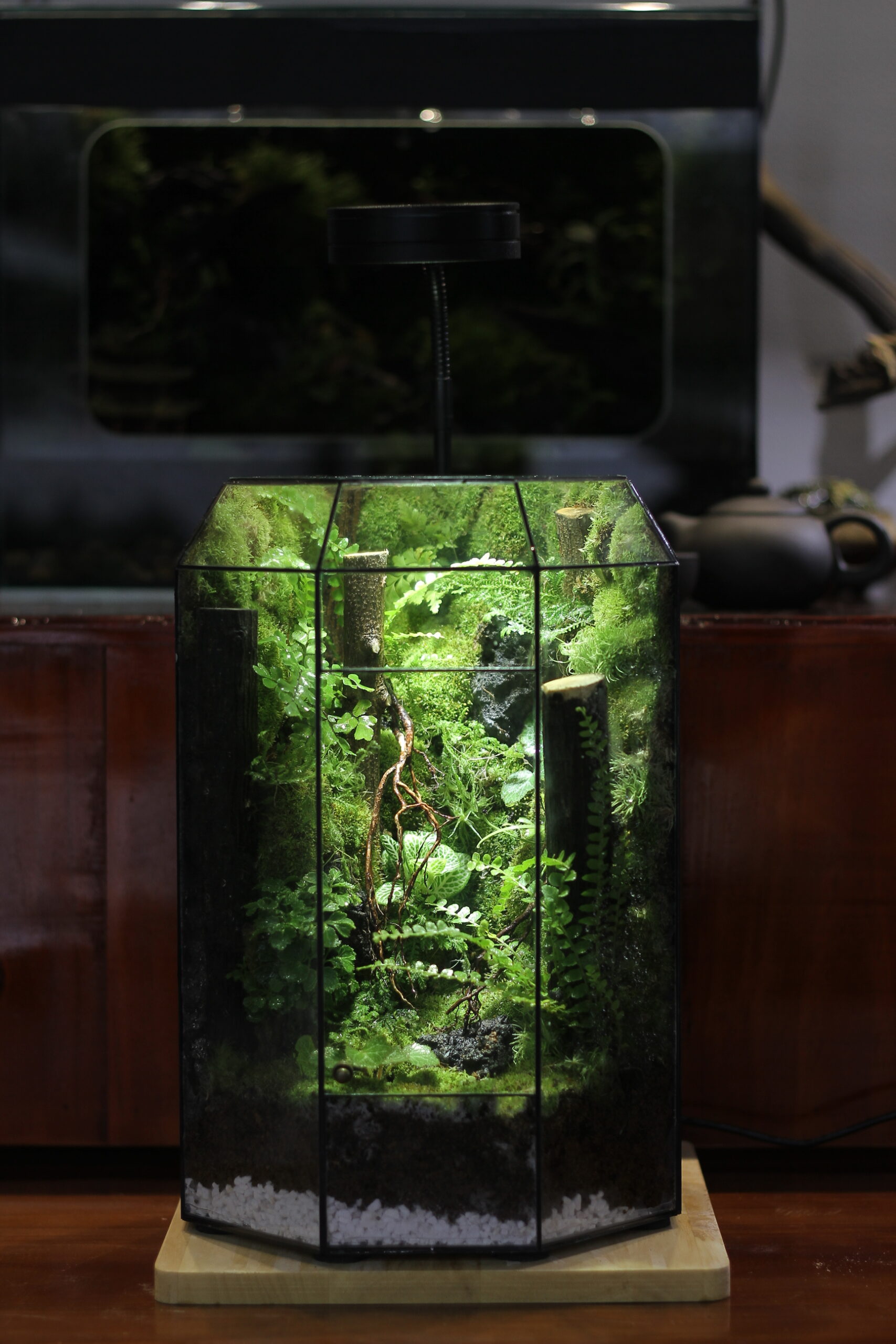 Forest Corner Size 20x20x30cm