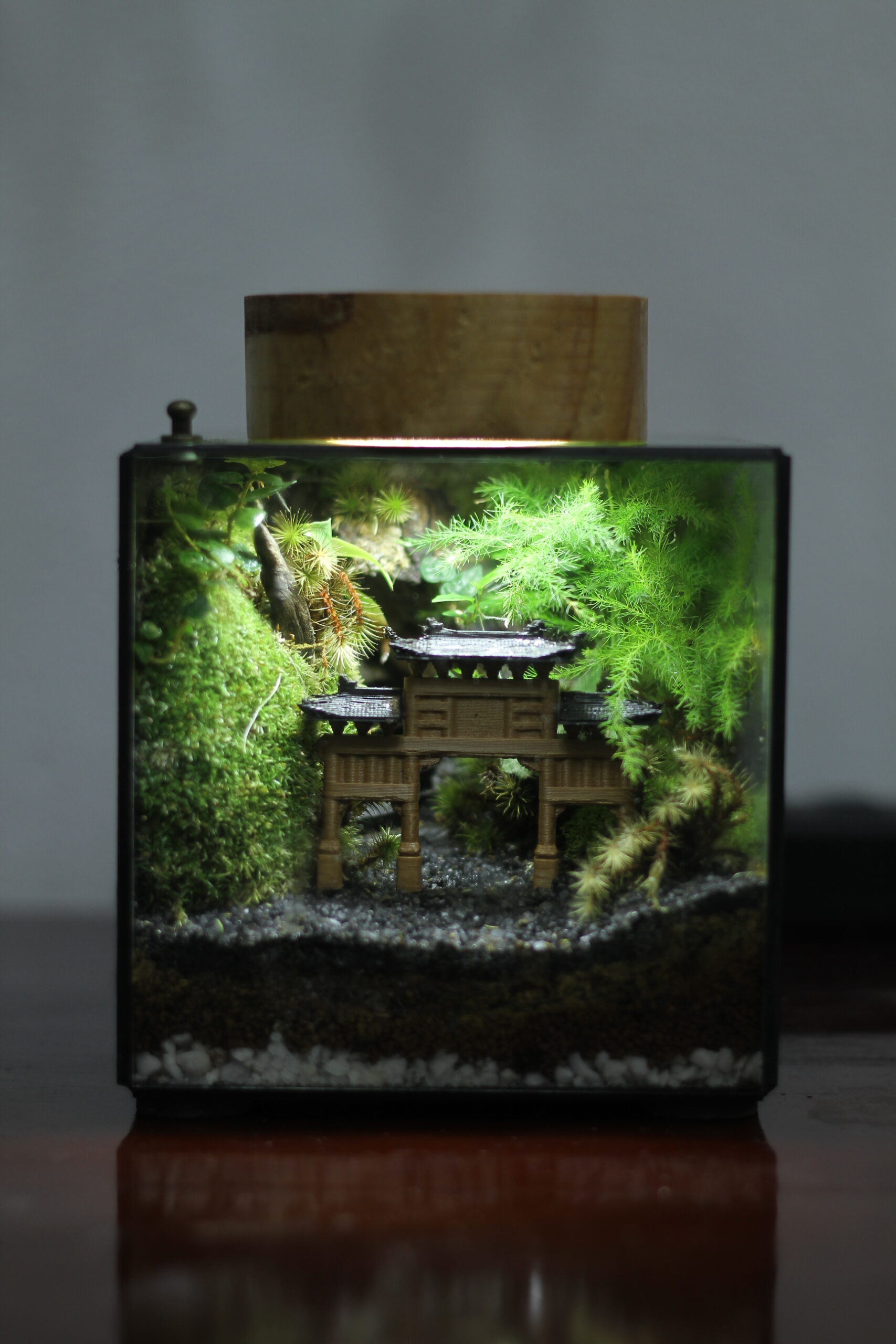 Cubic 12cm Cổng Tam Quan