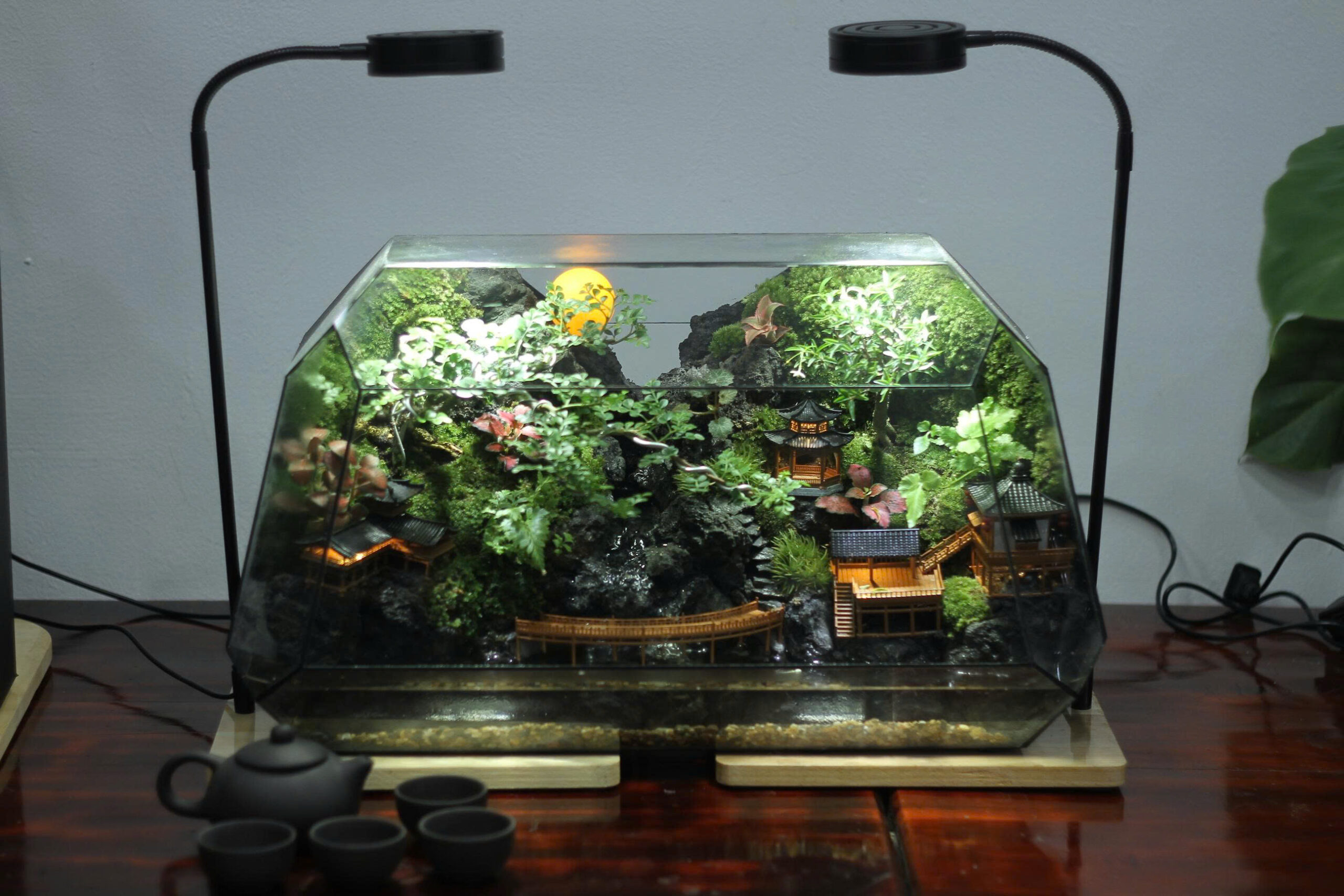 Tiên Ẩn Cốc size 50x25x30cm