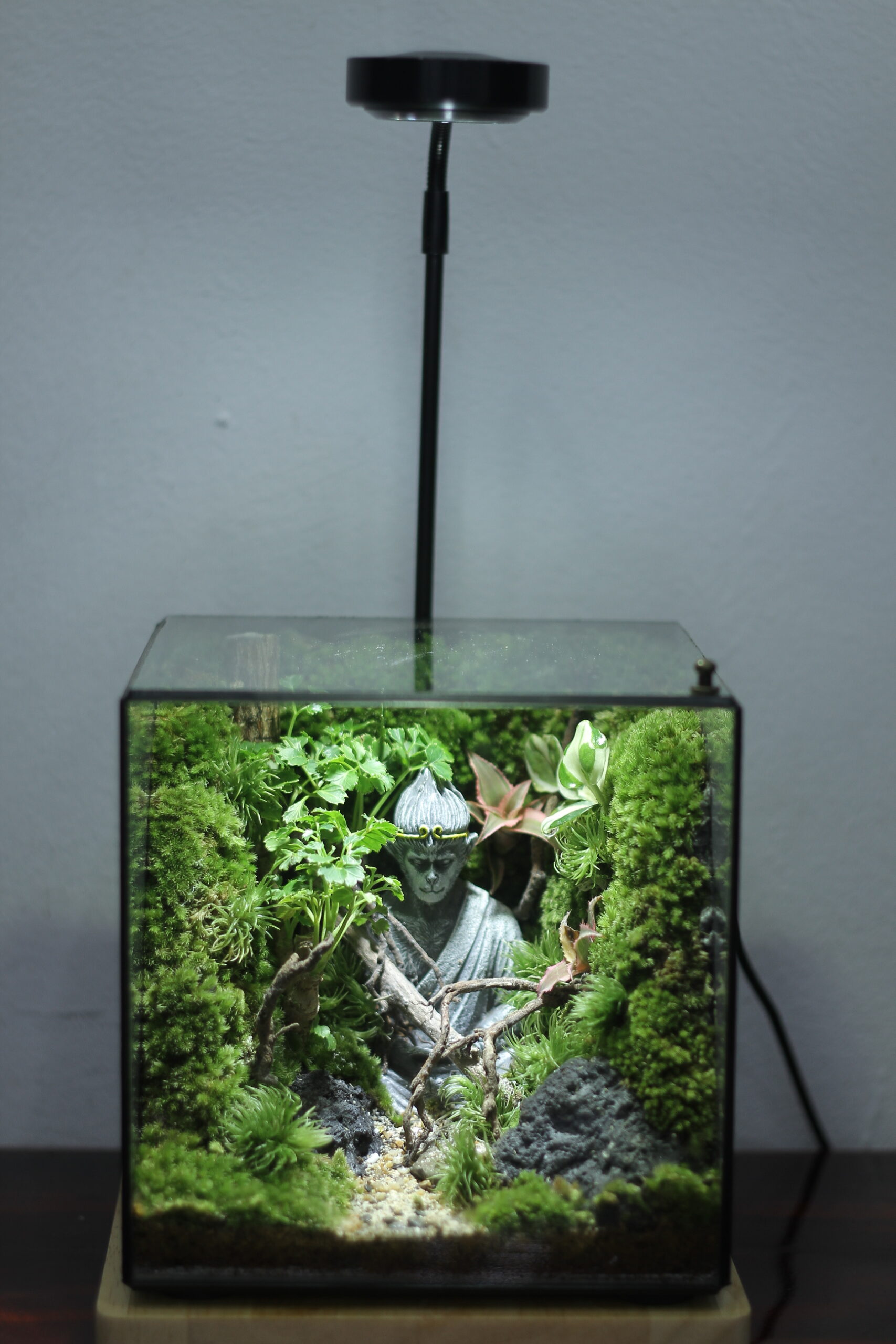 Wukong thiền cubic 15cm