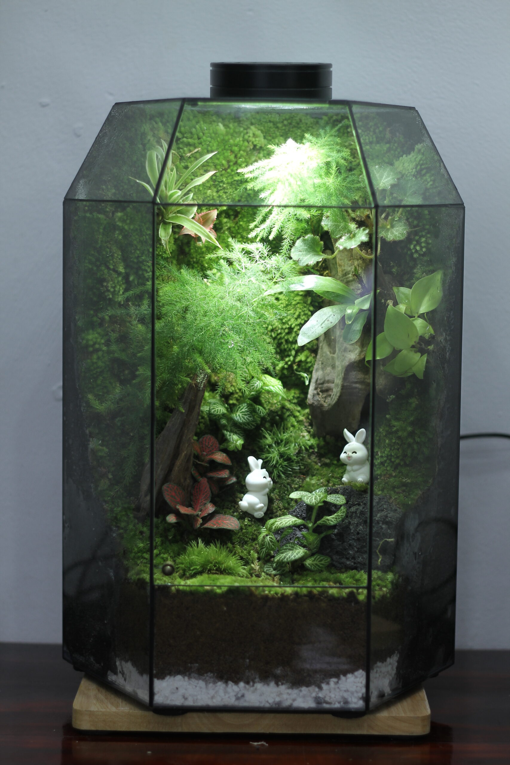 Khu rừng thỏ xinh size 24x24x38cm
