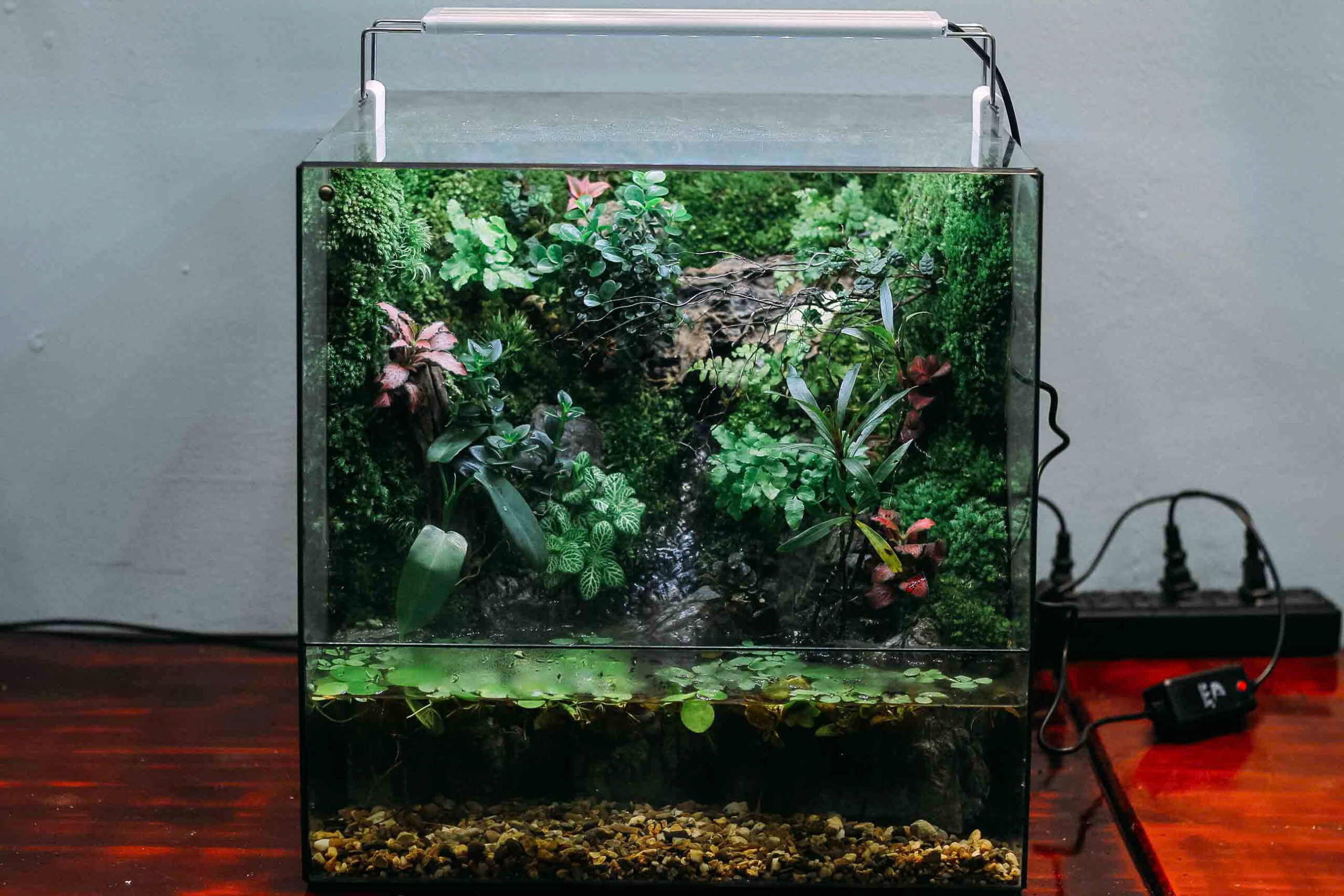 Góc Rừng Bán Cạn Tank 35x35x35cm